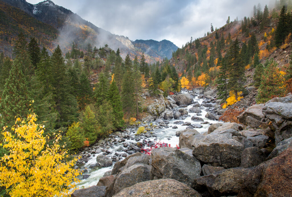 Icicle River