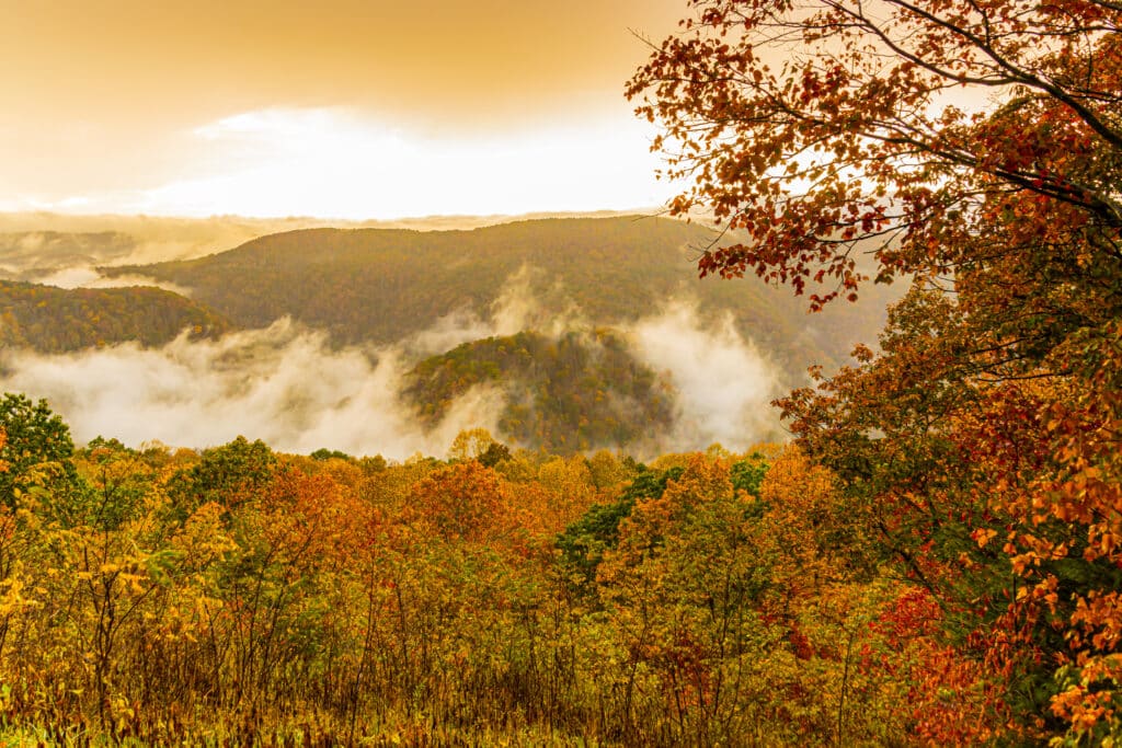 Fog Covered Mountains With Fall Foliage, Pipestem Resort State Park, West Virginia, USA