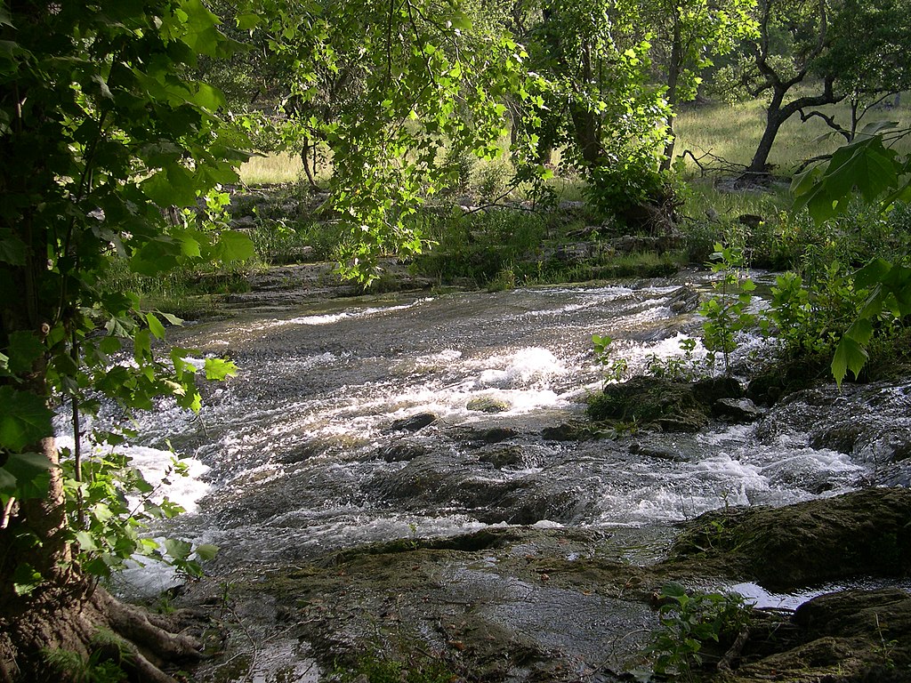 Spring Branch Creek