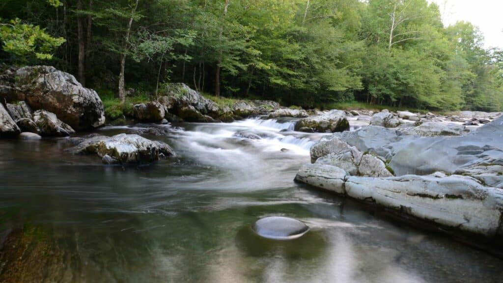 Little Pigeon River