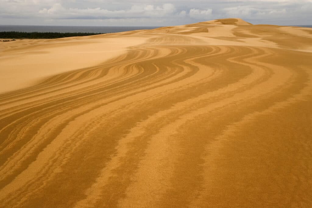 Umpqua Dunes