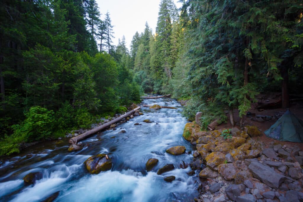 Umpqua River